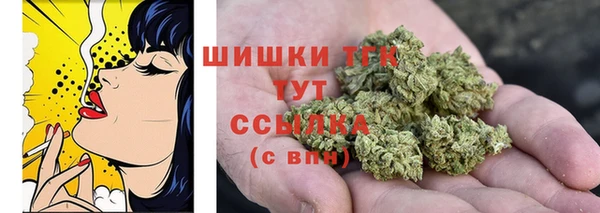 прущие крисы Арсеньев