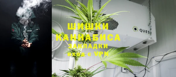 прущие крисы Арсеньев