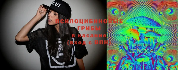 прущие крисы Арсеньев